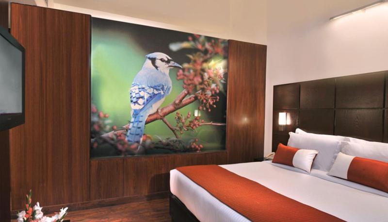 Comfort Inn Tulip Heights บาทินดา ภายนอก รูปภาพ